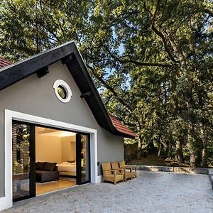 Eco House